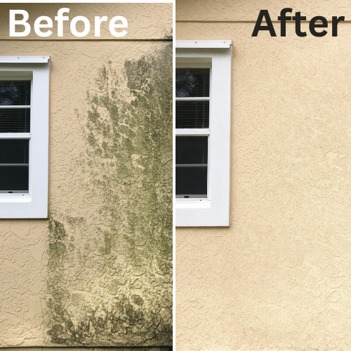 House siding after soft wash